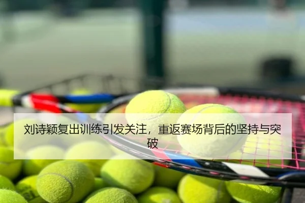 刘诗颖复出训练引发关注，重返赛场背后的坚持与突破