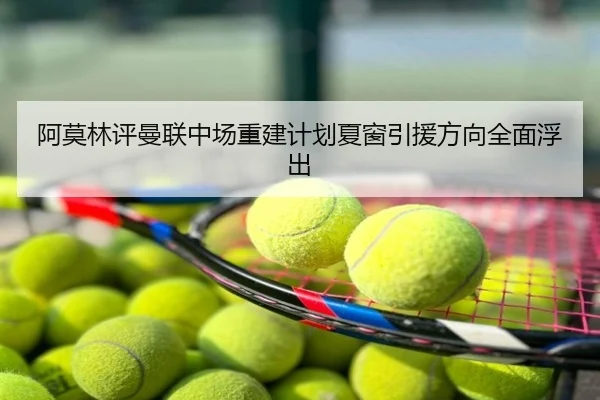 阿莫林评曼联中场重建计划夏窗引援方向全面浮出